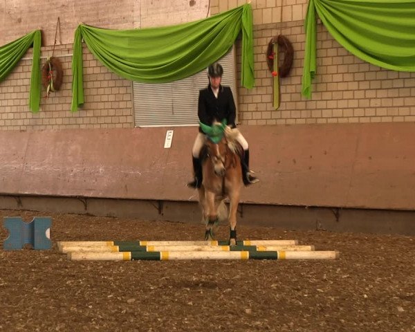 Reitturnier Hellefeld 2017