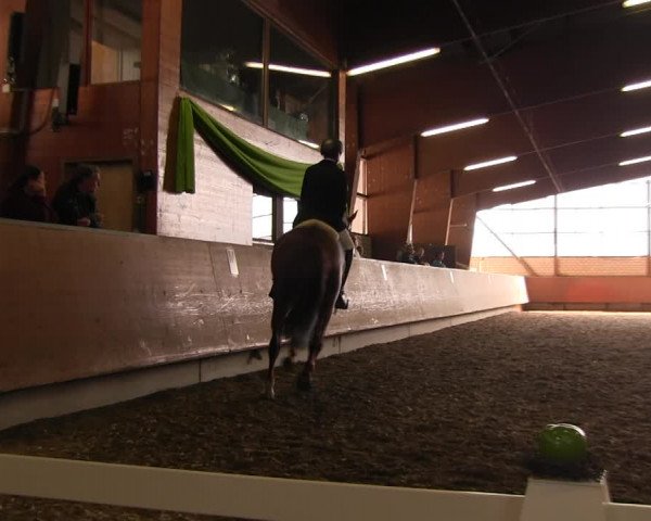 Reitturnier Hellefeld 2017