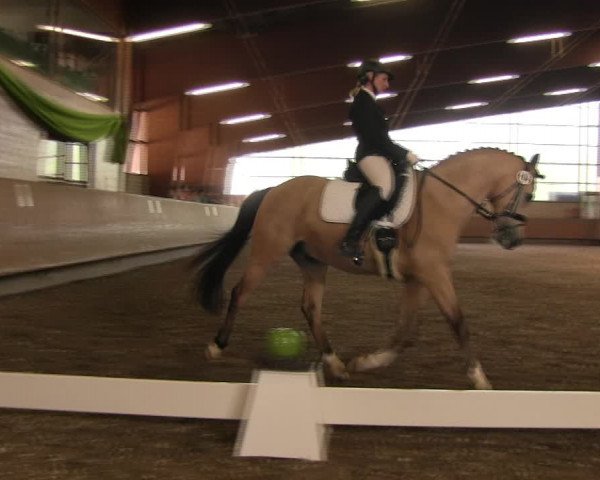 Reitturnier Hellefeld 2017