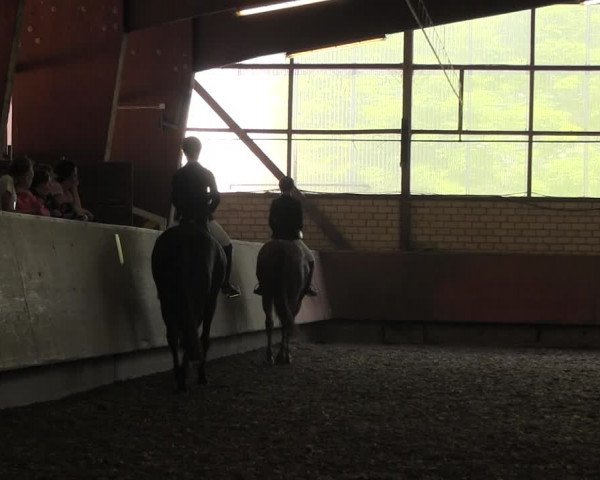 Reitturnier Hellefeld 2017