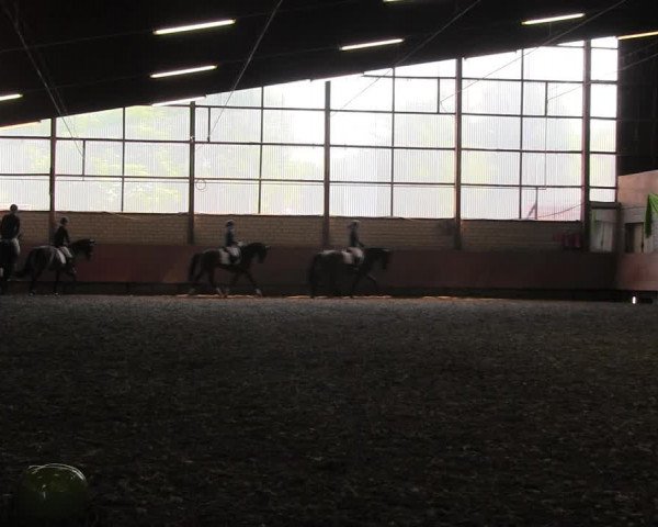 Reitturnier Hellefeld 2017