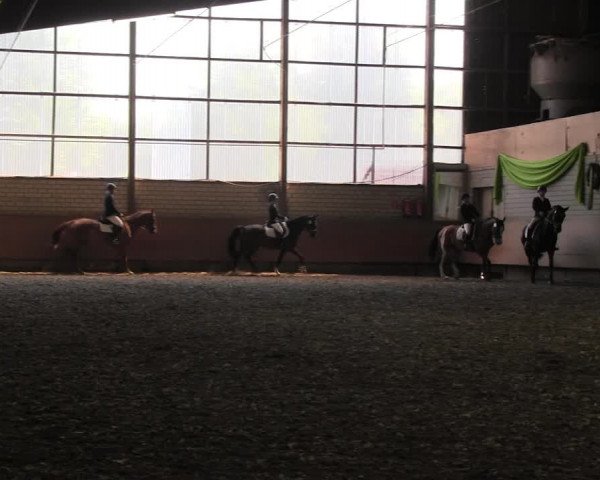 Reitturnier Hellefeld 2017