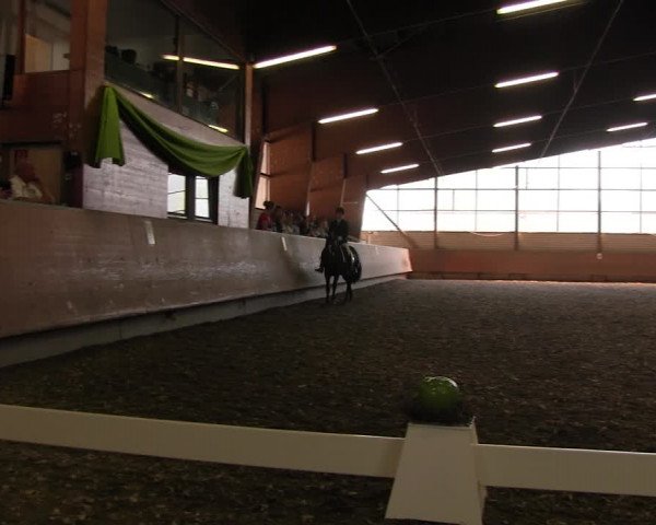 Reitturnier Hellefeld 2017
