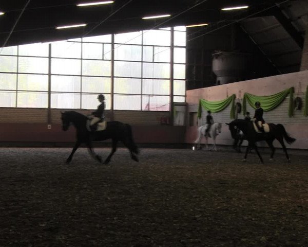 Reitturnier Hellefeld 2017