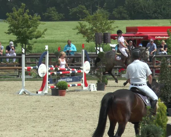 Reitturnier Kirchhellen/Stall Dieckmann 2017