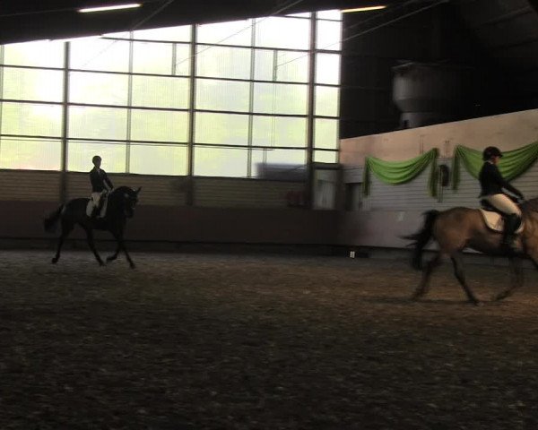Reitturnier Hellefeld 2017