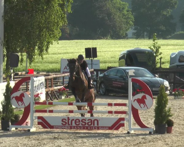 Reitturnier Kirchhellen/Stall Dieckmann 2017