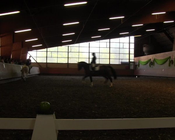 Reitturnier Hellefeld 2017