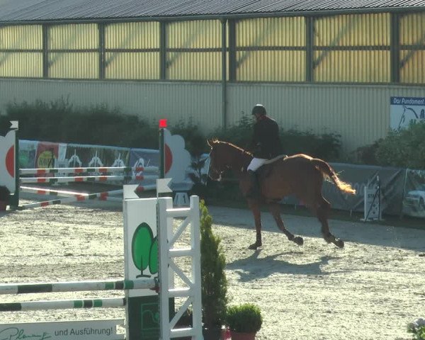 Reitturnier Kirchhellen/Stall Dieckmann 2017