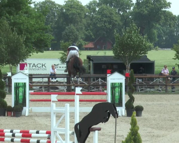 Reitturnier Kirchhellen/Stall Dieckmann 2017