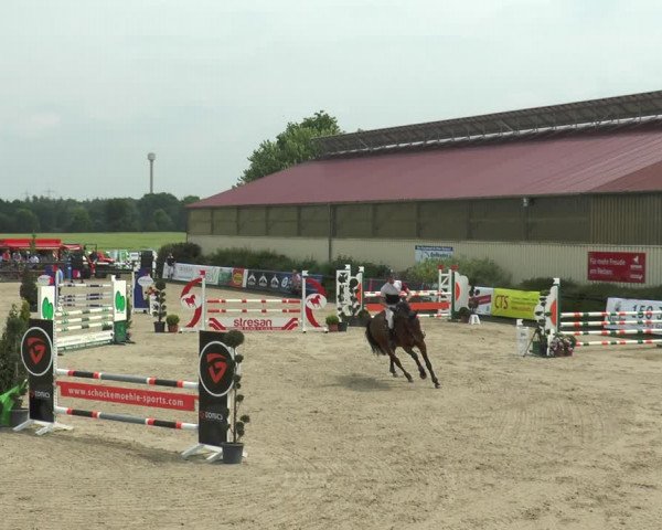 Reitturnier Kirchhellen/Stall Dieckmann 2017