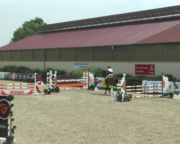 Reitturnier Kirchhellen/Stall Dieckmann 2017