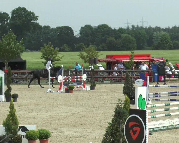 Reitturnier Kirchhellen/Stall Dieckmann 2017