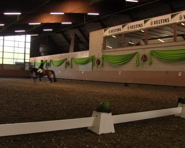 Reitturnier Hellefeld 2017