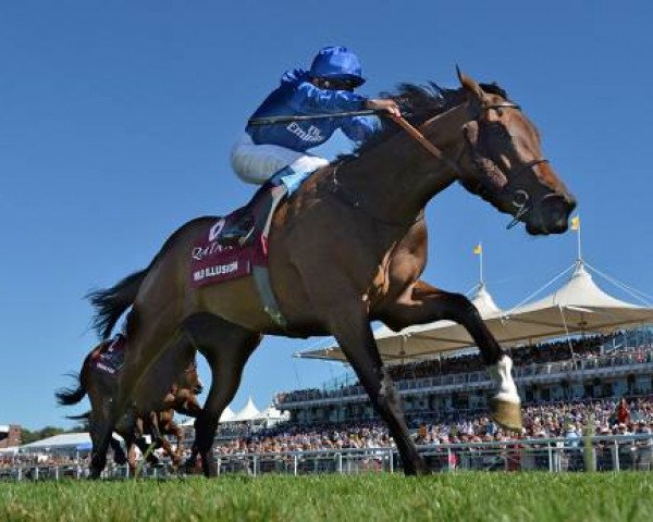 horse Wild Illusion xx (Thoroughbred, 2015, from Dubawi xx) horse Wild Illusion xx (Thoroughbred, 2015, from Dubawi xx)