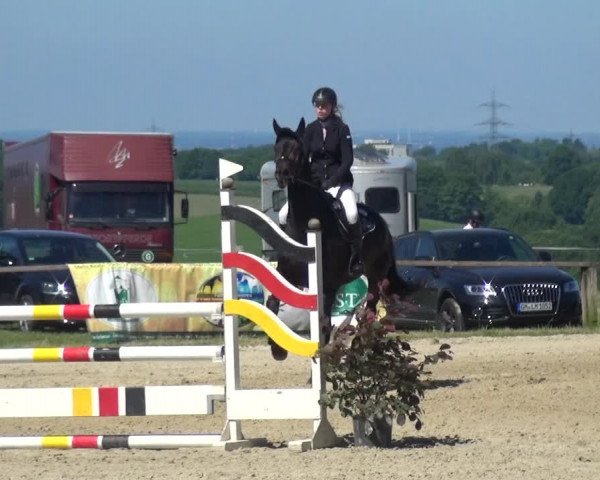 Reitturnier Burscheid-Paffenlöh 2017