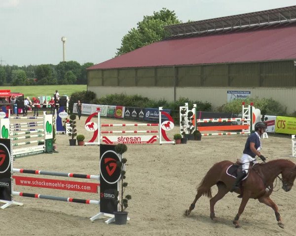 Reitturnier Kirchhellen/Stall Dieckmann 2017
