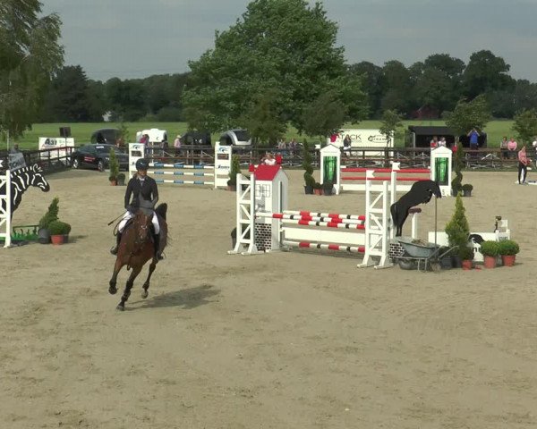 Reitturnier Kirchhellen/Stall Dieckmann 2017