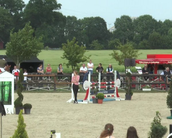 Reitturnier Kirchhellen/Stall Dieckmann 2017