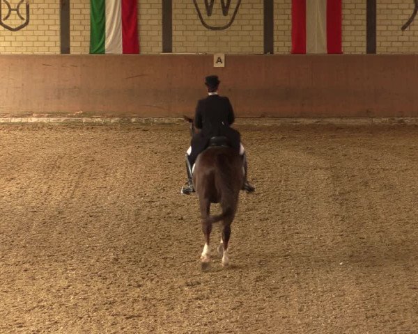 Reitturnier Hamm-Rhynern 2017