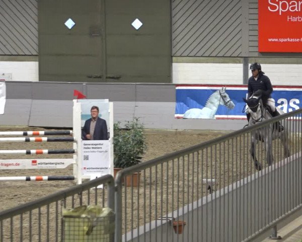 Reitturnier Luhmühlen 2021