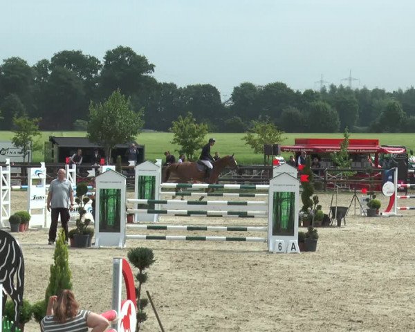 Reitturnier Kirchhellen/Stall Dieckmann 2017