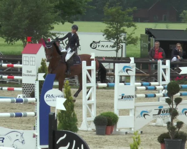 Reitturnier Kirchhellen/Stall Dieckmann 2017