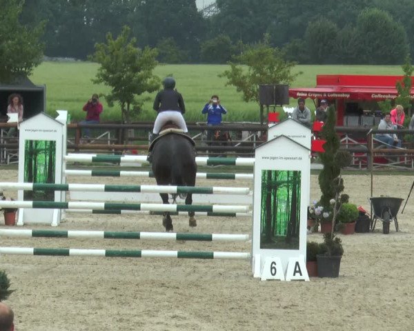 Reitturnier Kirchhellen/Stall Dieckmann 2017