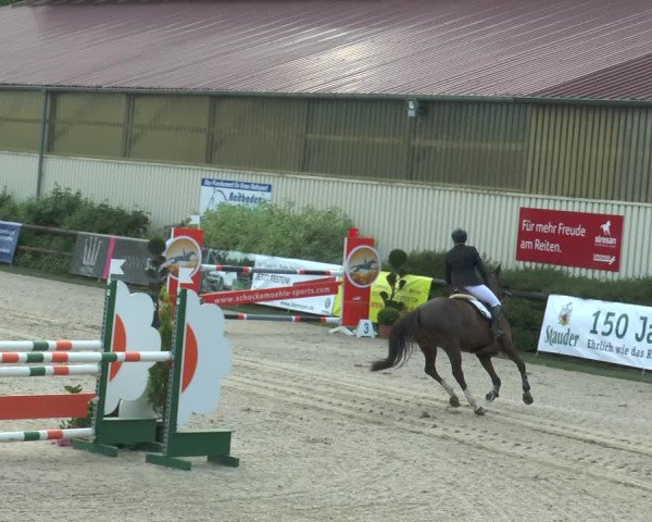 Reitturnier Kirchhellen/Stall Dieckmann 2017