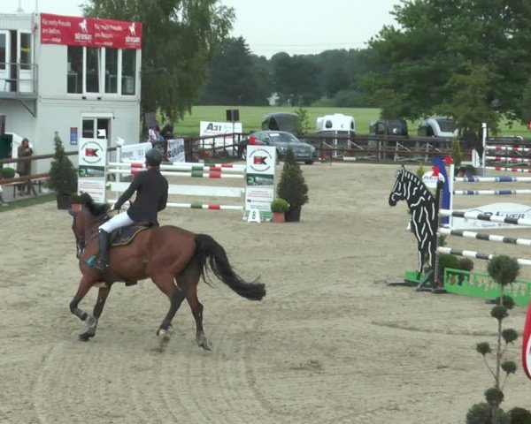 Reitturnier Kirchhellen/Stall Dieckmann 2017