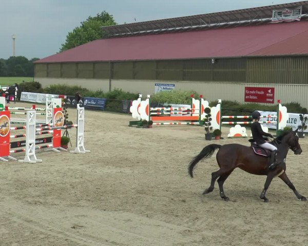 Reitturnier Kirchhellen/Stall Dieckmann 2017