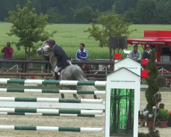 Reitturnier Kirchhellen/Stall Dieckmann 2017