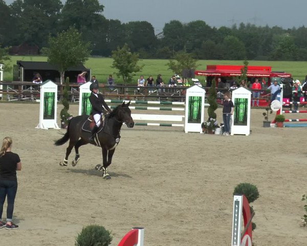 Reitturnier Kirchhellen/Stall Dieckmann 2017