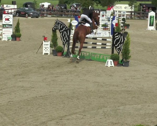 Reitturnier Kirchhellen/Stall Dieckmann 2017