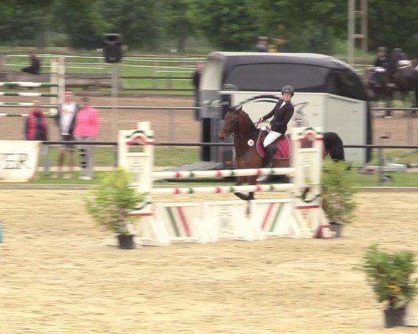 Reitturnier Hamm-Rhynern 2017