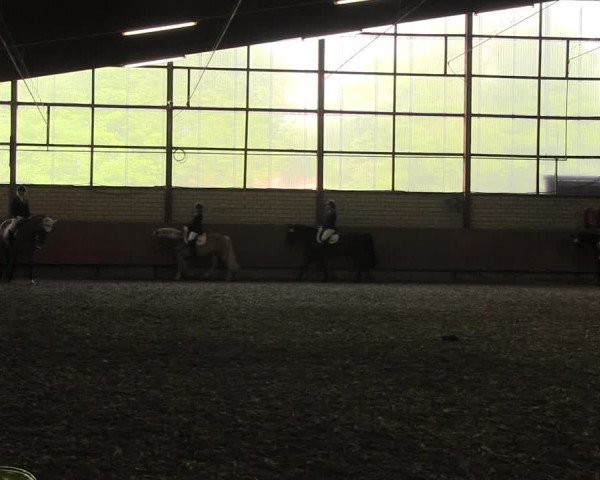 Reitturnier Hellefeld 2017