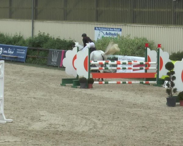 Reitturnier Kirchhellen/Stall Dieckmann 2017