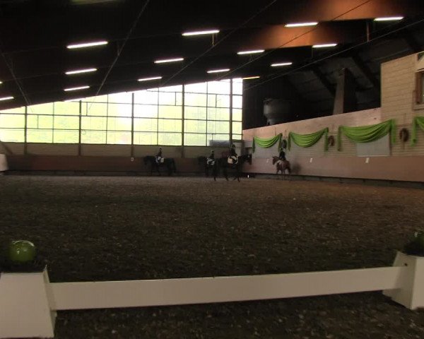 Reitturnier Hellefeld 2017