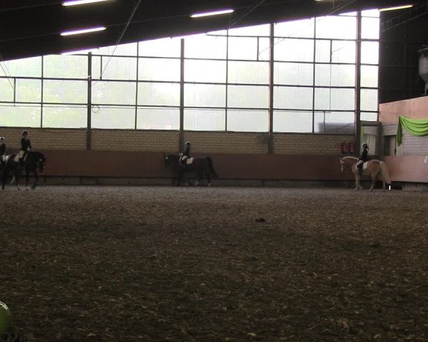 Reitturnier Hellefeld 2017