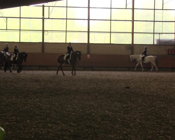 Reitturnier Hellefeld 2017