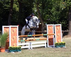 jumper Calgary 74 (KWPN (Royal Dutch Sporthorse), 2007, from Cartano)