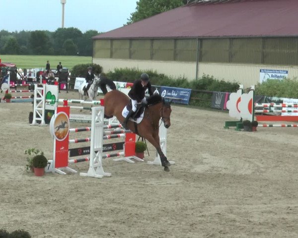 Reitturnier Kirchhellen/Stall Dieckmann 2017