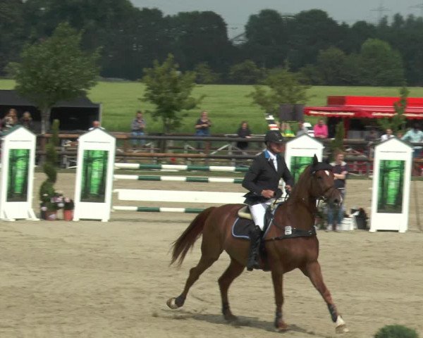 Reitturnier Kirchhellen/Stall Dieckmann 2017