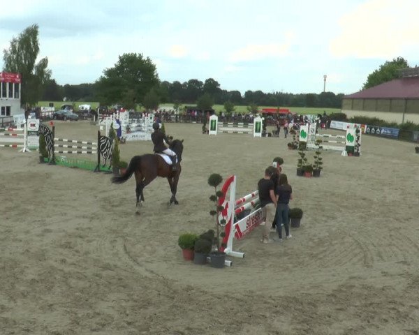 Reitturnier Kirchhellen/Stall Dieckmann 2017