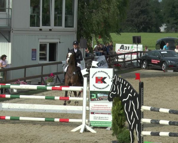 Reitturnier Kirchhellen/Stall Dieckmann 2017