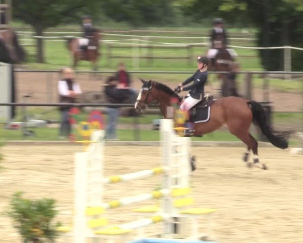 Reitturnier Hamm-Rhynern 2017