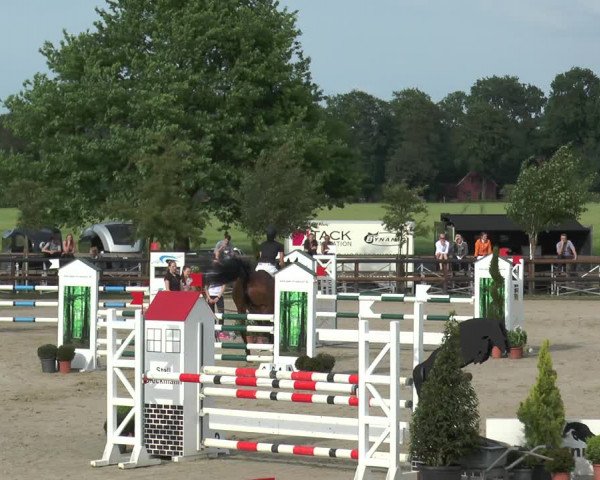 Reitturnier Kirchhellen/Stall Dieckmann 2017
