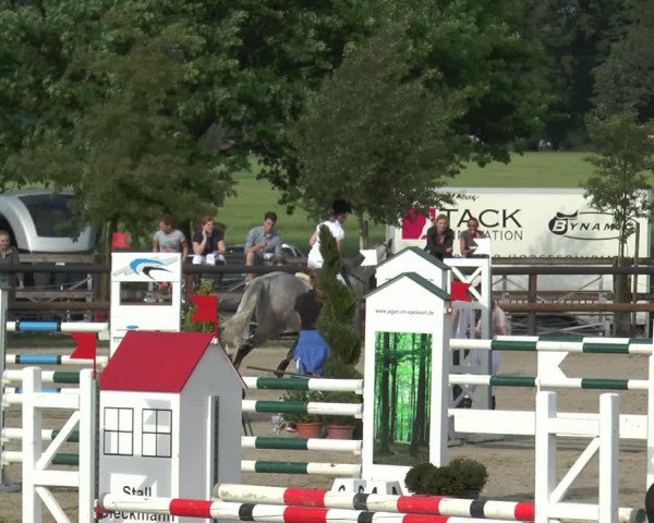 Reitturnier Kirchhellen/Stall Dieckmann 2017