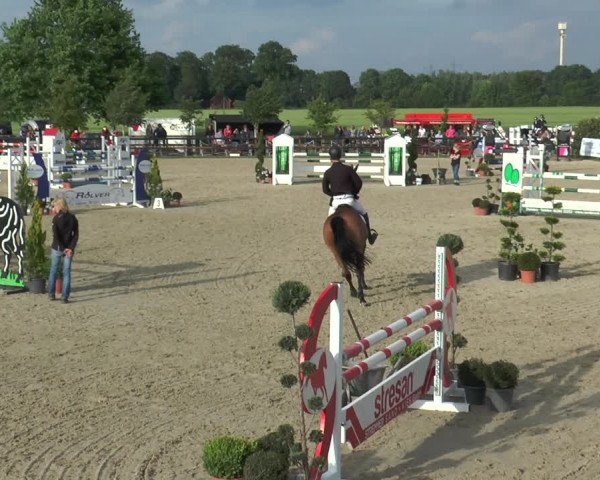 Reitturnier Kirchhellen/Stall Dieckmann 2017