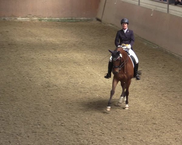 Reitturnier Hamm-Rhynern 2017